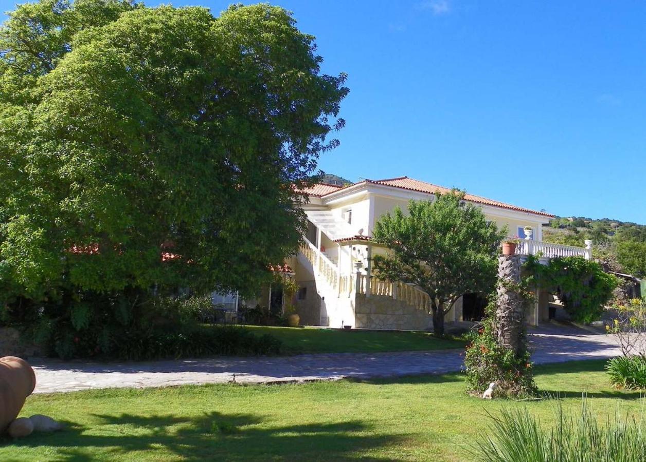Ferienwohnung Casa-Palo-Pique Icod De Los Vinos Exterior foto
